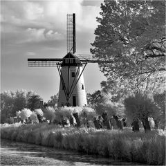 Windmühle bei Damme