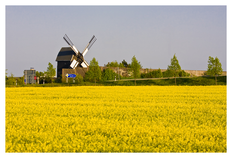 Windmühle bei Freiroda/Schkeuditz