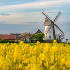 Windmühle bei Minden