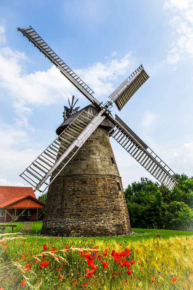 Windmühle bei Porta Westfalica in NRW