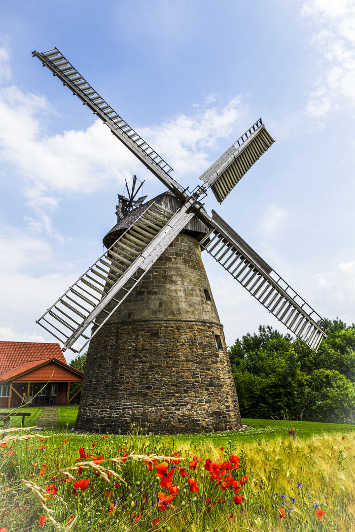 Windmühle bei Porta Westfalica in NRW