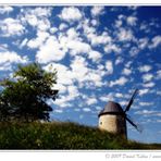 Windmühle bei Warnstedt