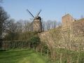 Windmühle bei Zons Stadt Dormagen 08.04.07 von Frank Lohre