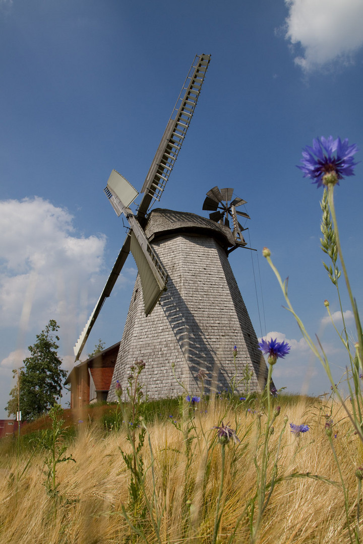 Windmühle Bierde