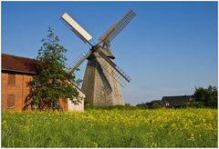 Windmühle Bierde