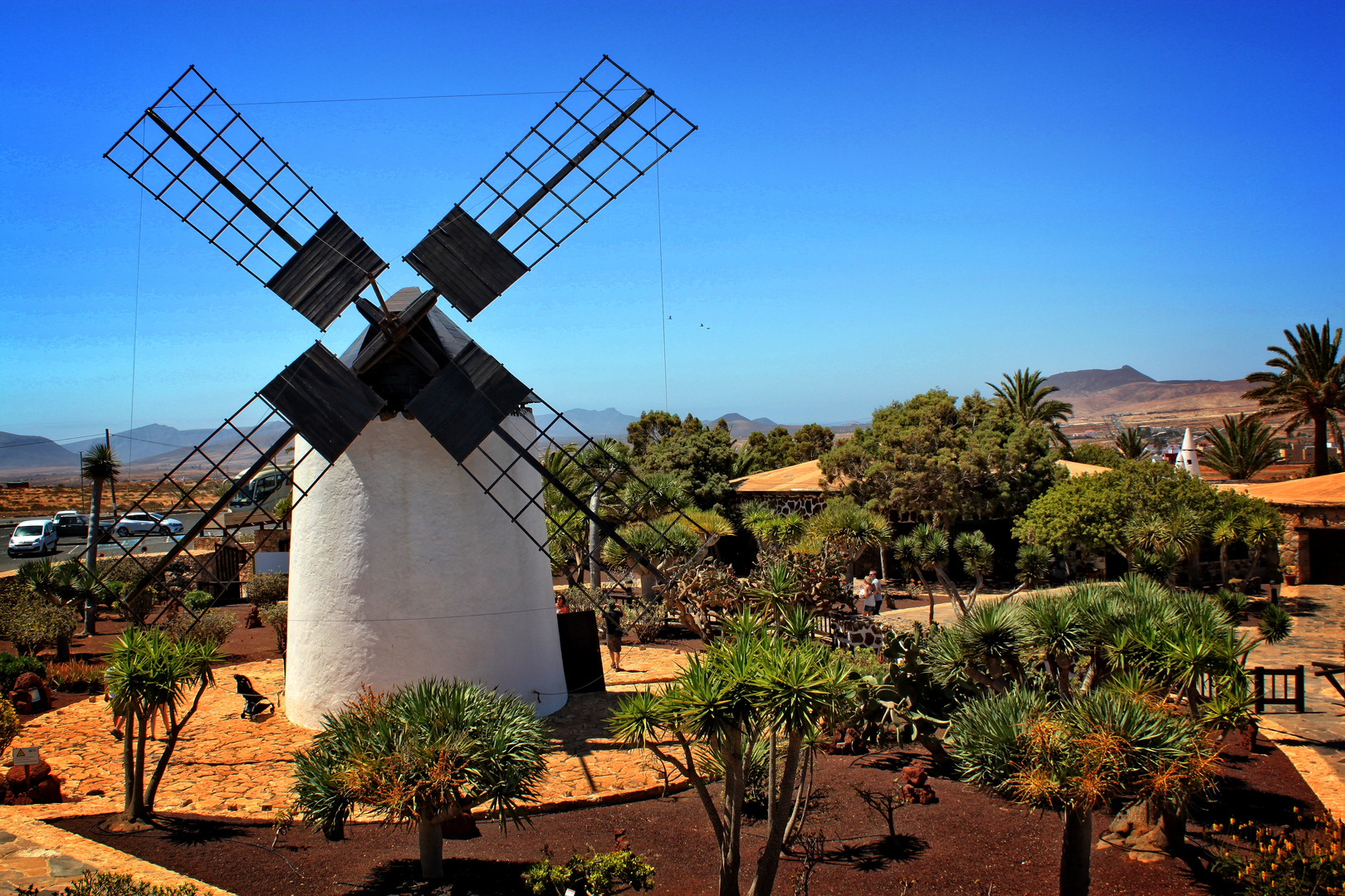 Windmühle botanischer Garten