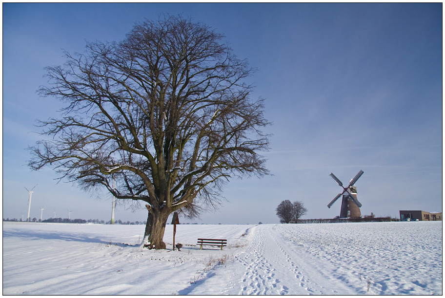 Windmühle Breberen in Schnee