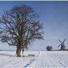 Windmühle Breberen in Schnee