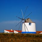 Windmühle (c)