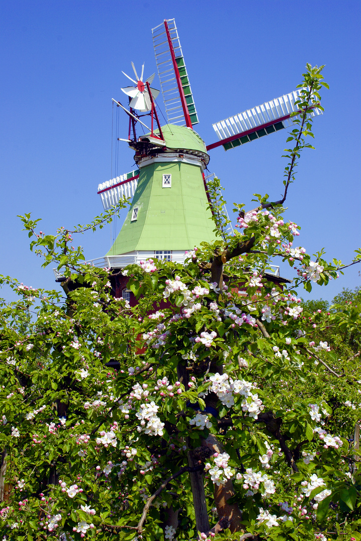 Windmühle