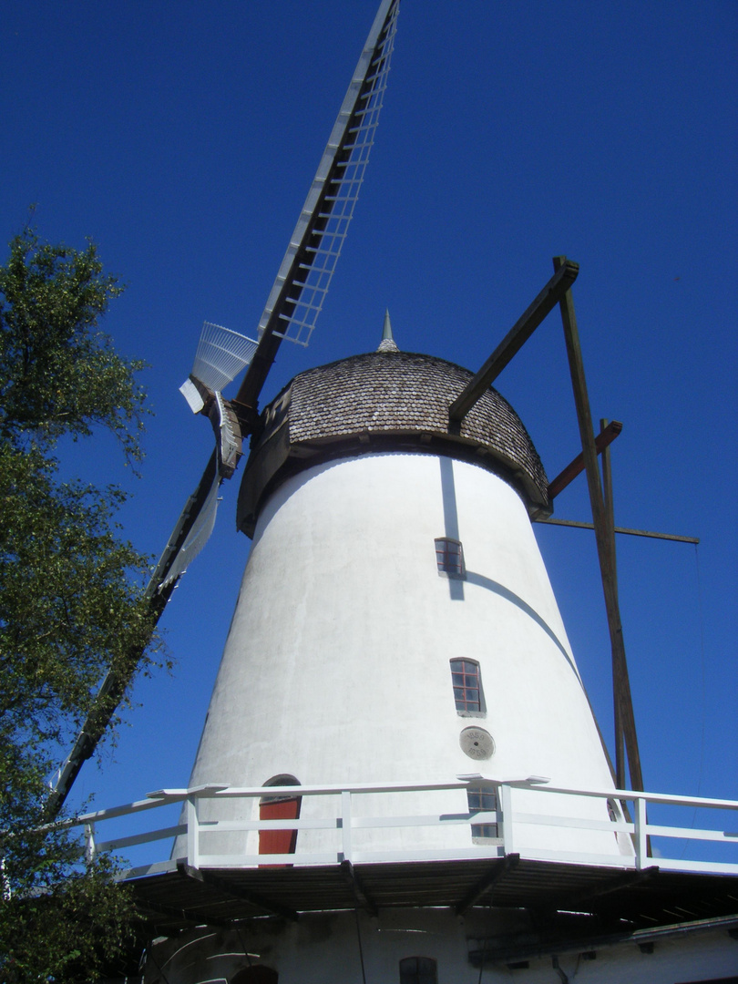 Windmühle