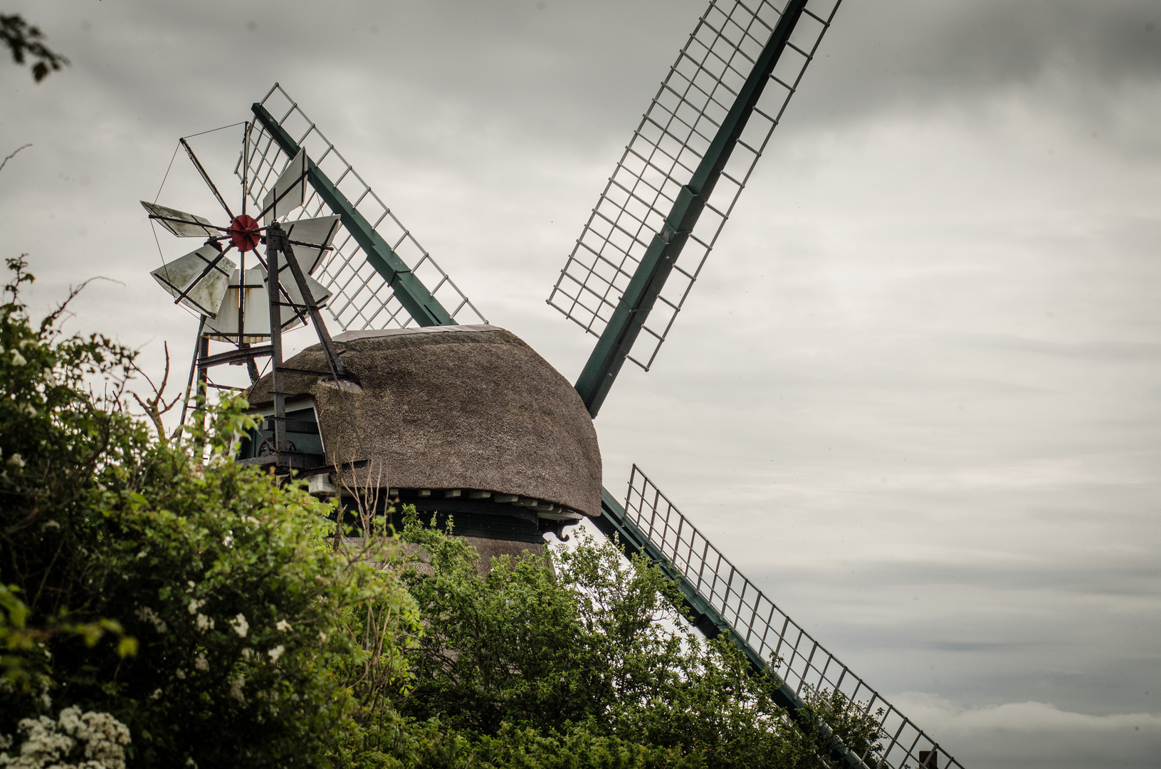 Windmühle Charlotte
