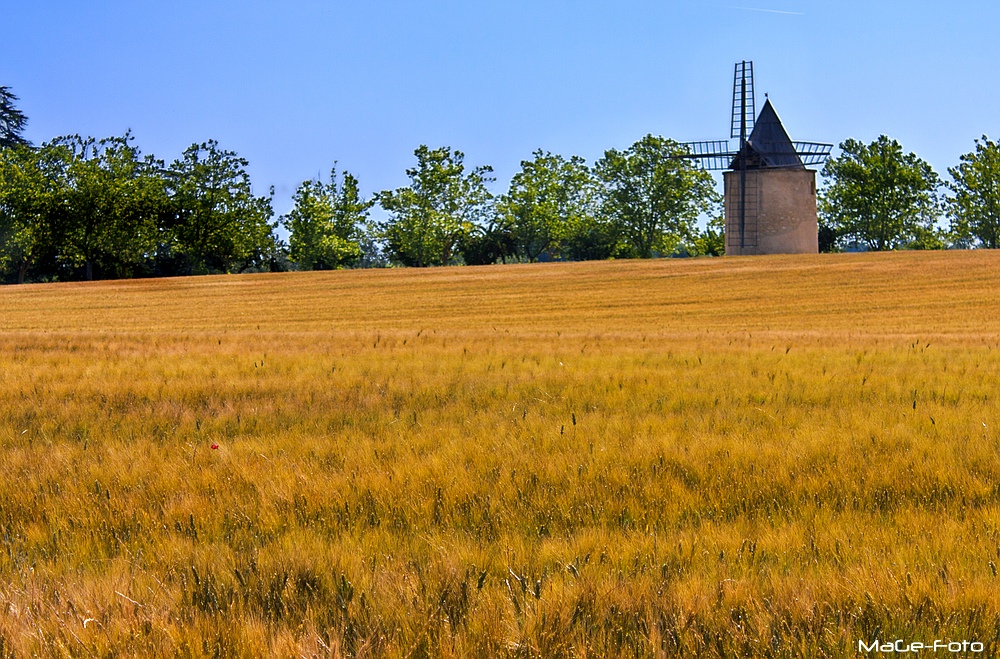 Windmühle