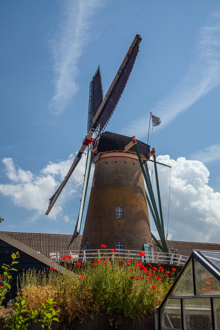 Windmühle De Hoop, Ouddorp