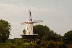 Windmühle De Koe in Veere