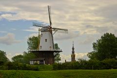 Windmühle "De Koe" in Veere (NL)