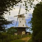 Windmühle "De Koe" - Veere