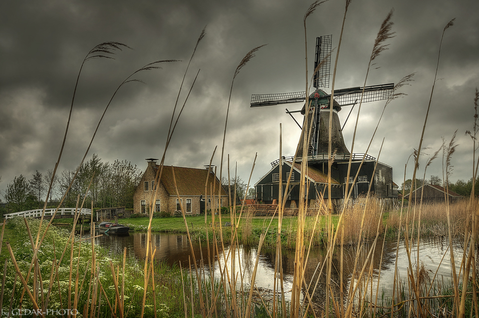 Windmühle De Rat - IJlst - NL- The End