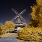 Windmühle Delmenhorst-Schierbrok