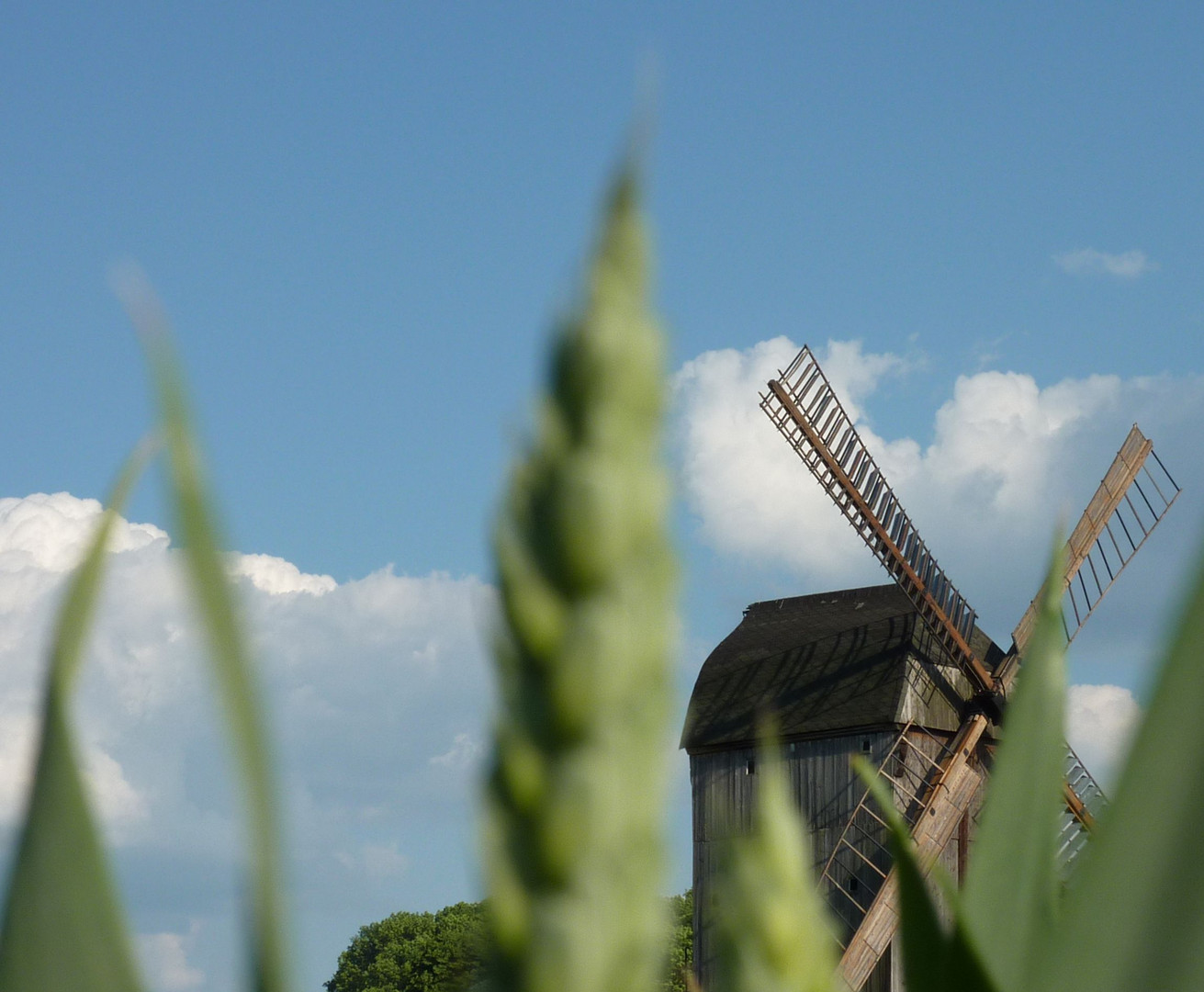 "Windmühle" / Deutscher Mühlentag 2012 (Pfingstmontag)