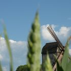 "Windmühle" / Deutscher Mühlentag 2012 (Pfingstmontag)