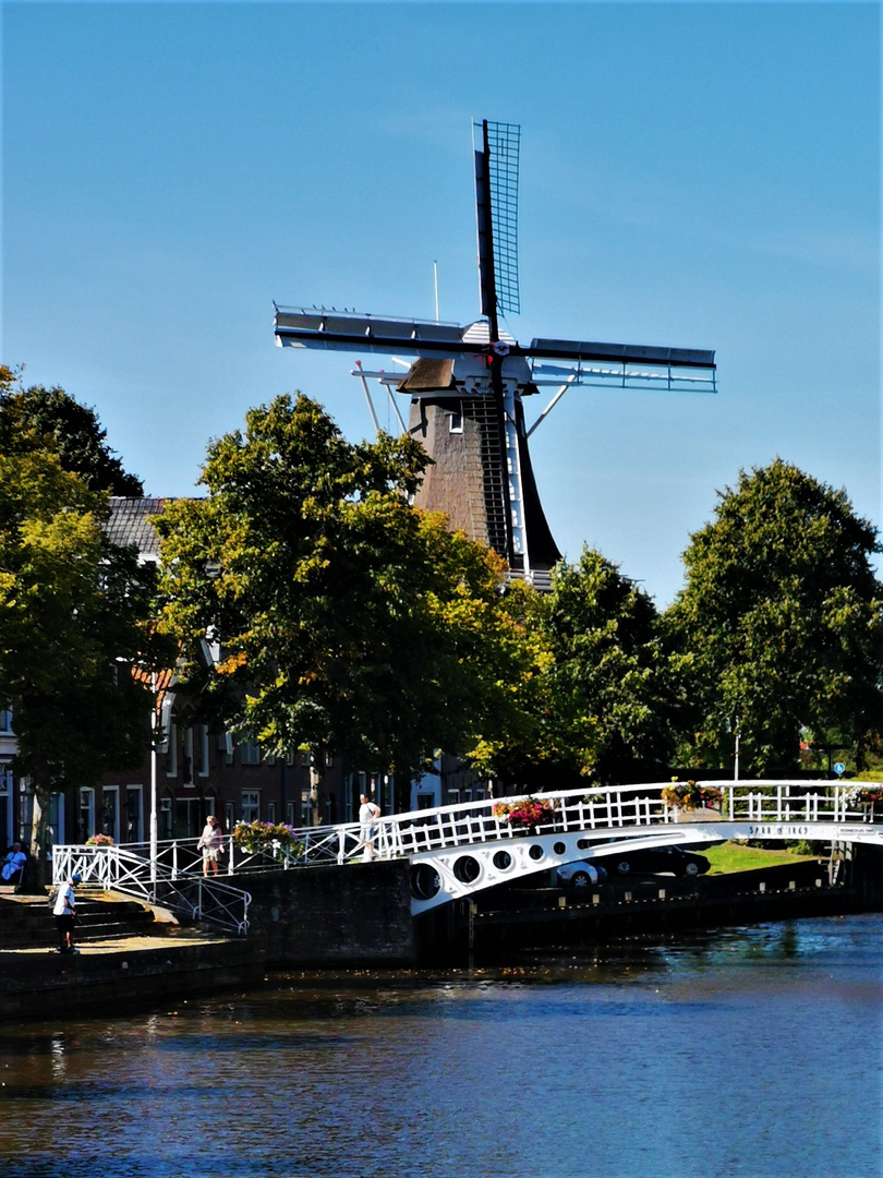 Windmühle Dokkum