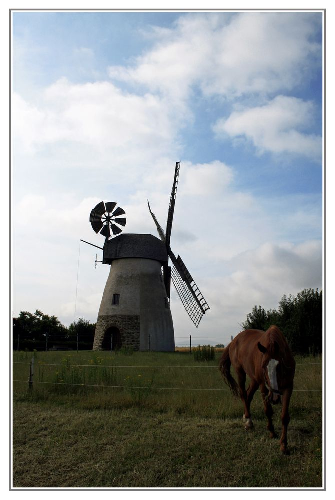 Windmühle Hille