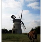 Windmühle Hille