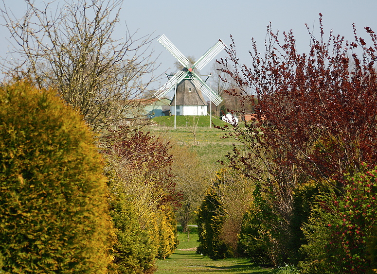 Windmühle "Hoffnung"