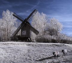 Windmühle Hohenwarthe