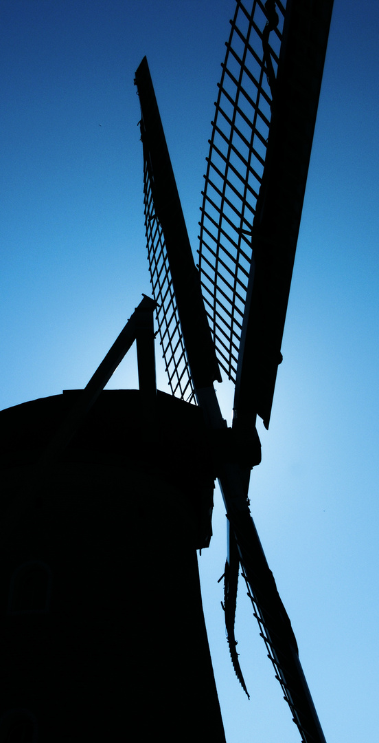 Windmühle-Holland