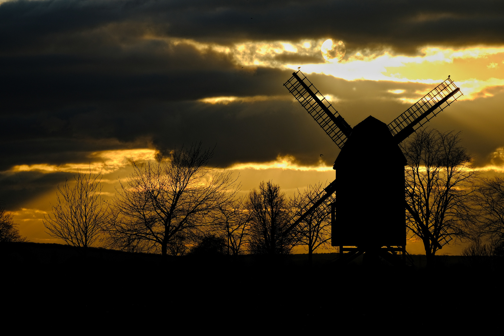 Windmühle im Abendlicht