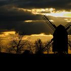 Windmühle im Abendlicht