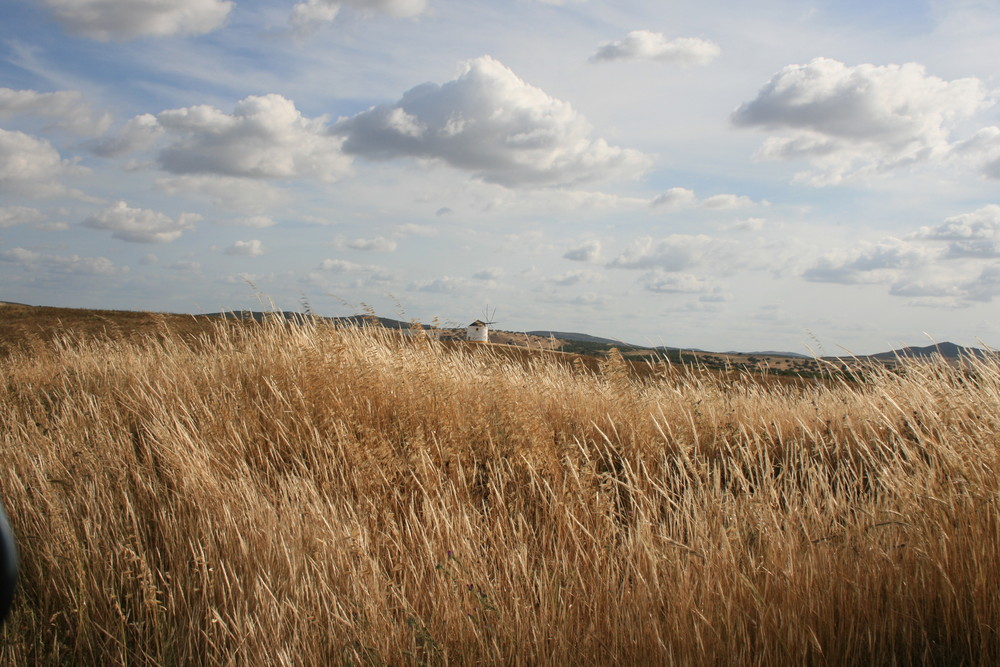 Windmühle im Alentejo