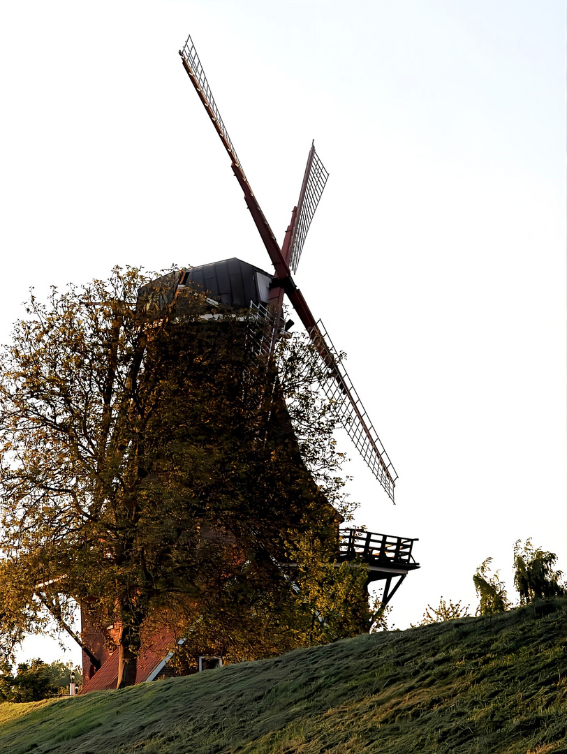 Windmühle im Alten Land 