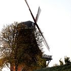 Windmühle im Alten Land 