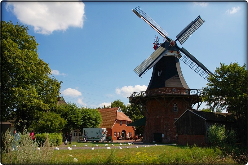 Windmühle im Butjardinger Land / Nordsee