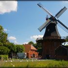 Windmühle im Butjardinger Land / Nordsee