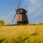 Windmühle im Feld