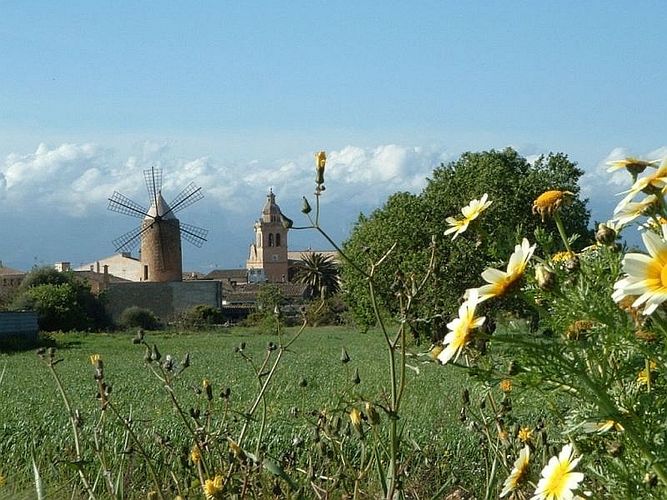 Windmühle im Feld