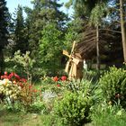 Windmühle im Frühling