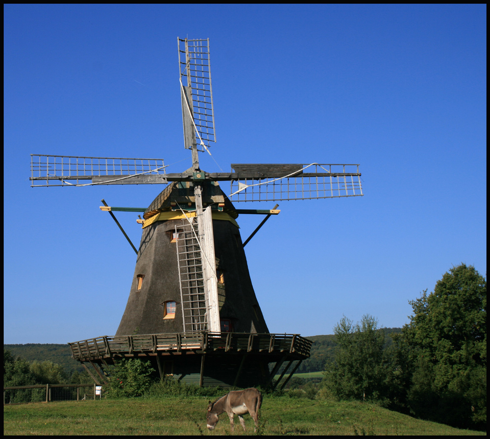 Windmühle im Hessenpark II