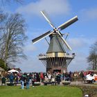 Windmühle im Keukenhof April 2013