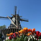 Windmühle im Keukenhof