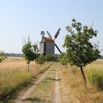 Windmühle im Kornfeld