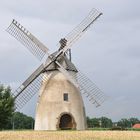 Windmühle im Kreis Minden-Lübbecke
