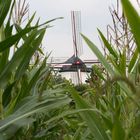 Windmühle im Mais
