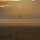 Windmühle im Morgennebel