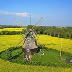 Windmühle im Rapsfeld