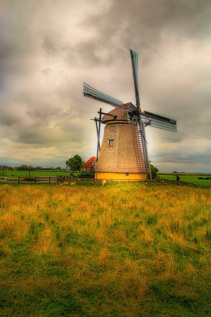 Windmühle im Sommer